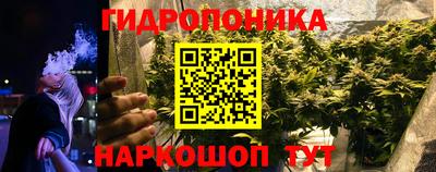 ПСИЛОЦИБИНОВЫЕ ГРИБЫ Апшеронск