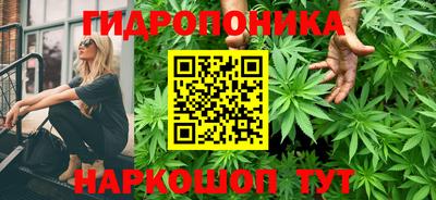 ПСИЛОЦИБИНОВЫЕ ГРИБЫ Апшеронск